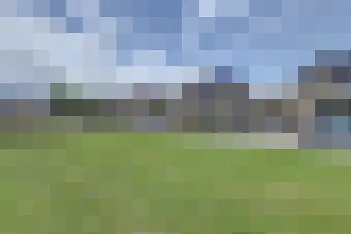 Braspenning 8 Dronten thumbnail 47