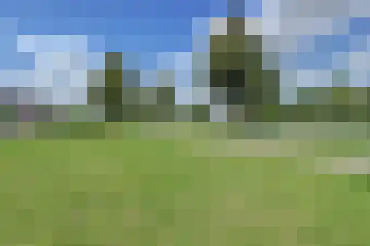 Braspenning 8 Dronten thumbnail 48