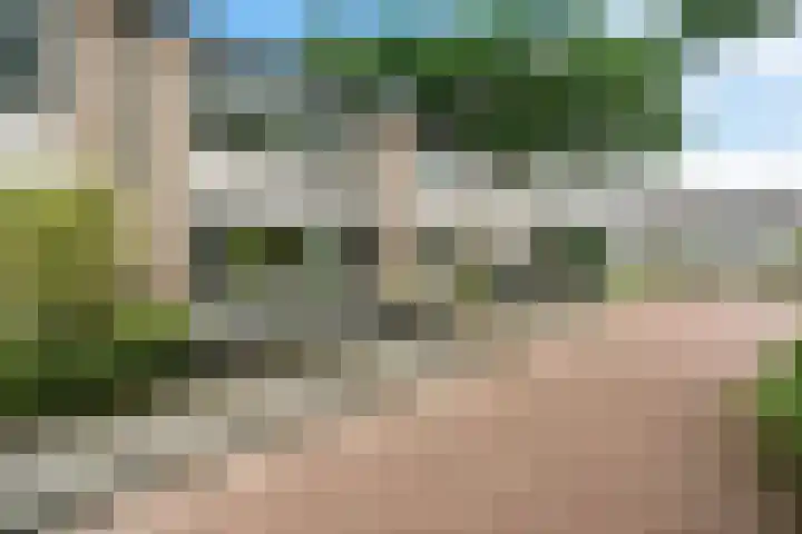 Braspenning 8 Dronten thumbnail 55