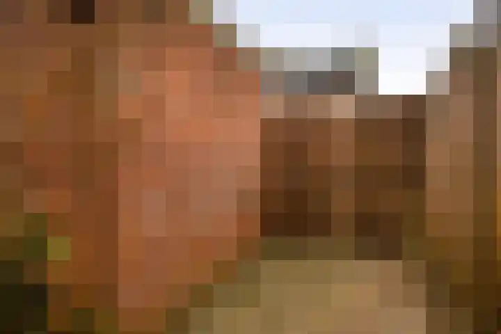 Braspenningdreef 11 Cuijk thumbnail 33