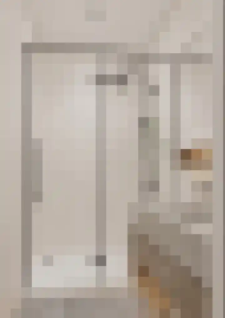 Braspenningdreef 11 Cuijk thumbnail 5