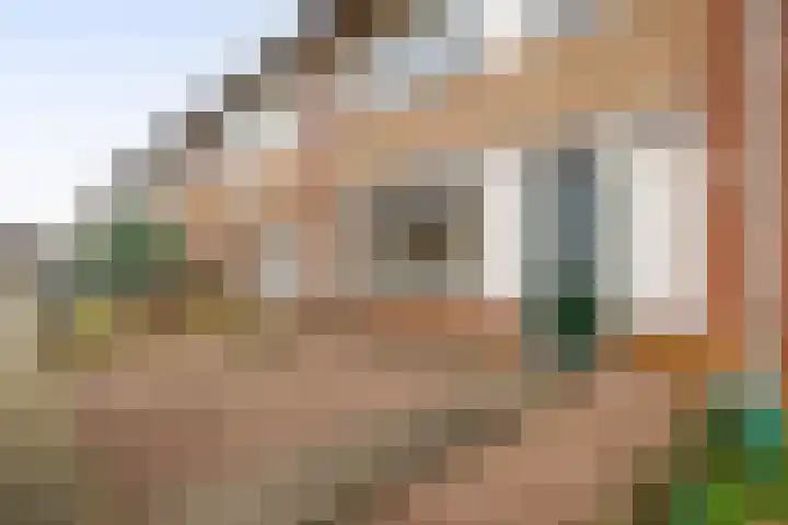 Braspenningdreef 11 Cuijk thumbnail 7