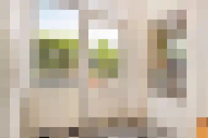 Braspenninglaan 8 's-Hertogenbosch thumbnail 22