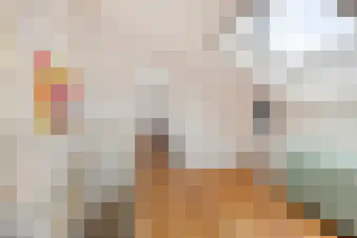 Braspenninglaan 8 's-Hertogenbosch thumbnail 34