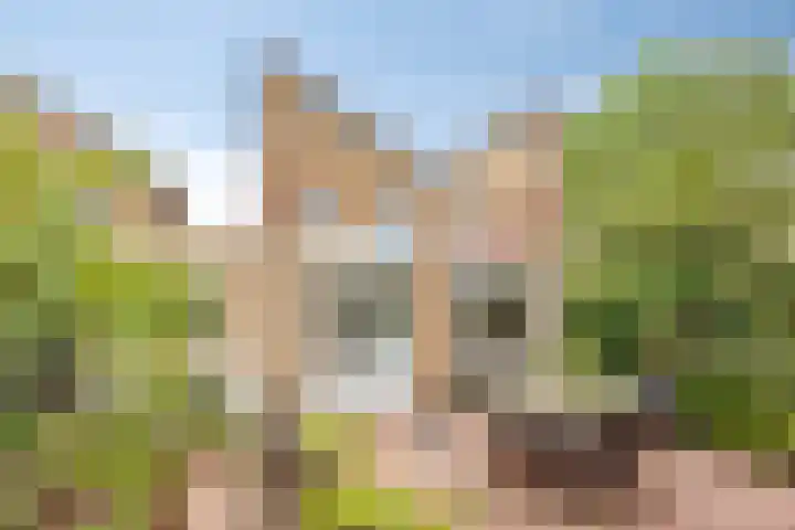Braspenninglaan 8 's-Hertogenbosch thumbnail 37