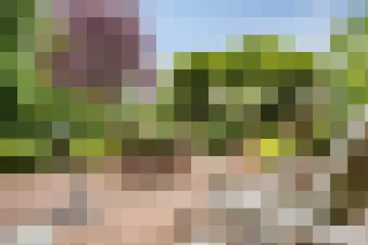 Braspenninglaan 8 's-Hertogenbosch thumbnail 39