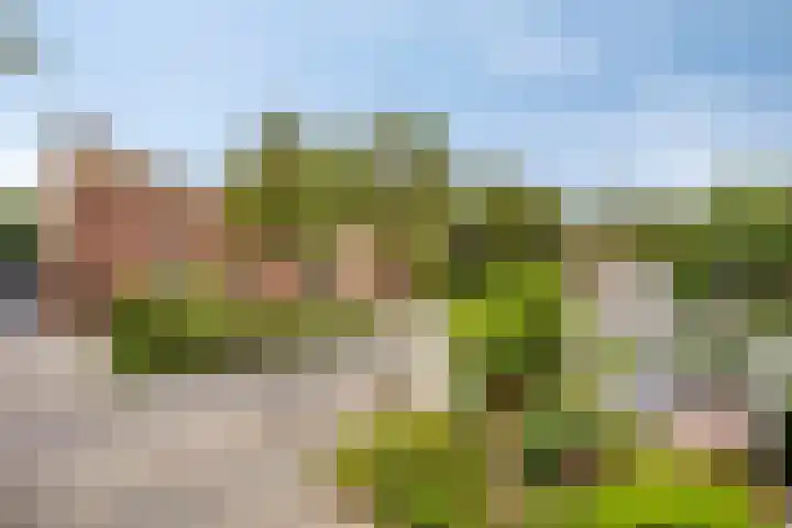 Braspenninglaan 8 's-Hertogenbosch thumbnail 40