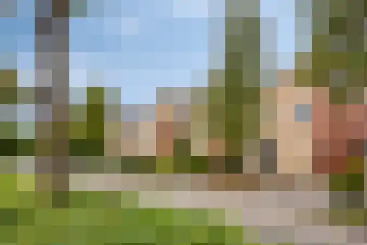 Braspenninglaan 8 's-Hertogenbosch thumbnail 6