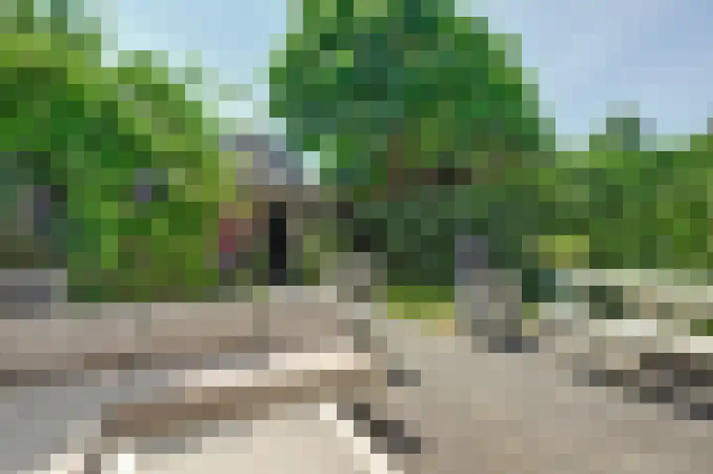 Braspenninglaan 92 's-Hertogenbosch thumbnail 46