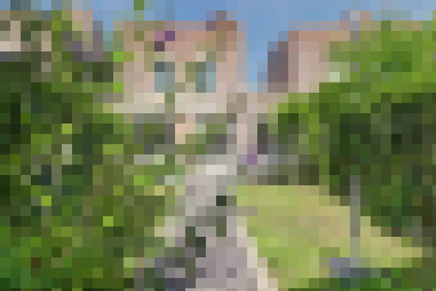 Braspenninglaan 92 's-Hertogenbosch thumbnail 47