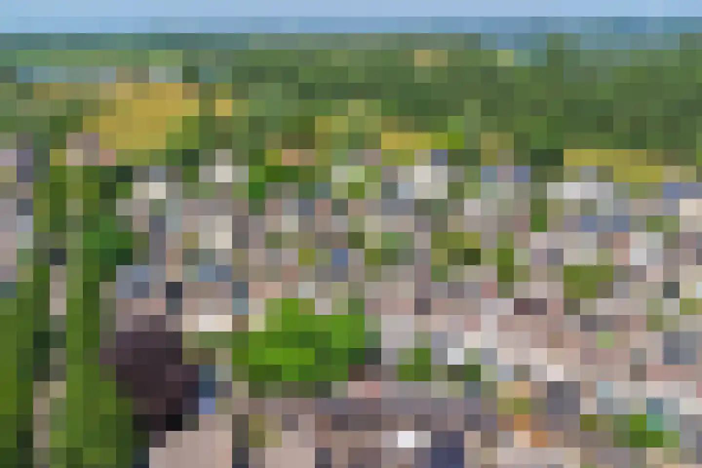Braspenninglaan 92 's-Hertogenbosch thumbnail 52