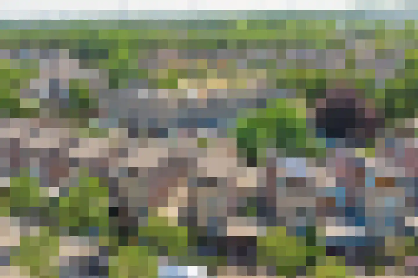 Braspenninglaan 92 's-Hertogenbosch thumbnail 54