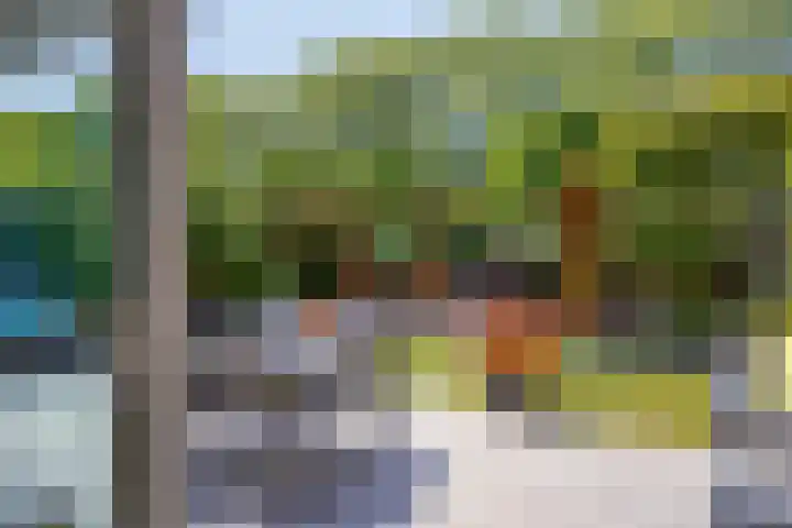 Braspenningstraat 100 Alkmaar thumbnail 19