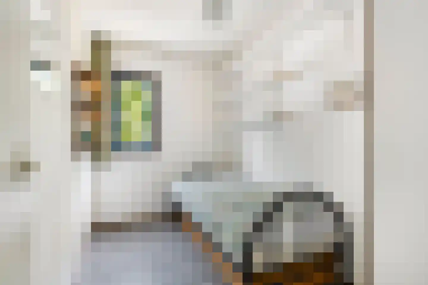Braspenningstraat 91 Alkmaar thumbnail 16