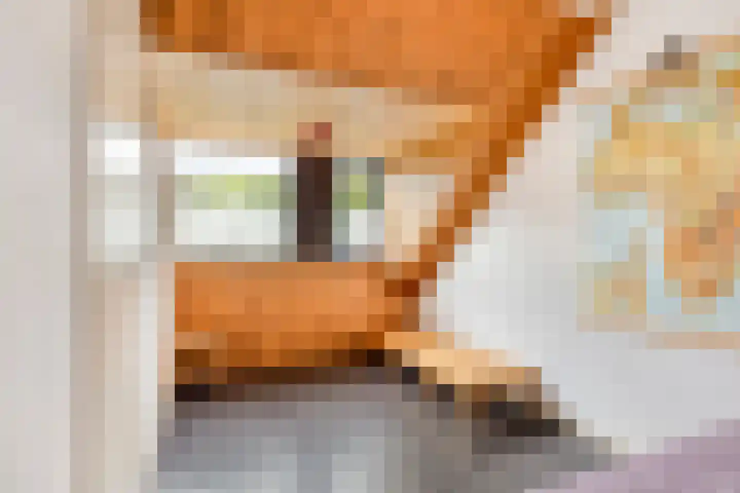 Braspenningstraat 91 Alkmaar thumbnail 20