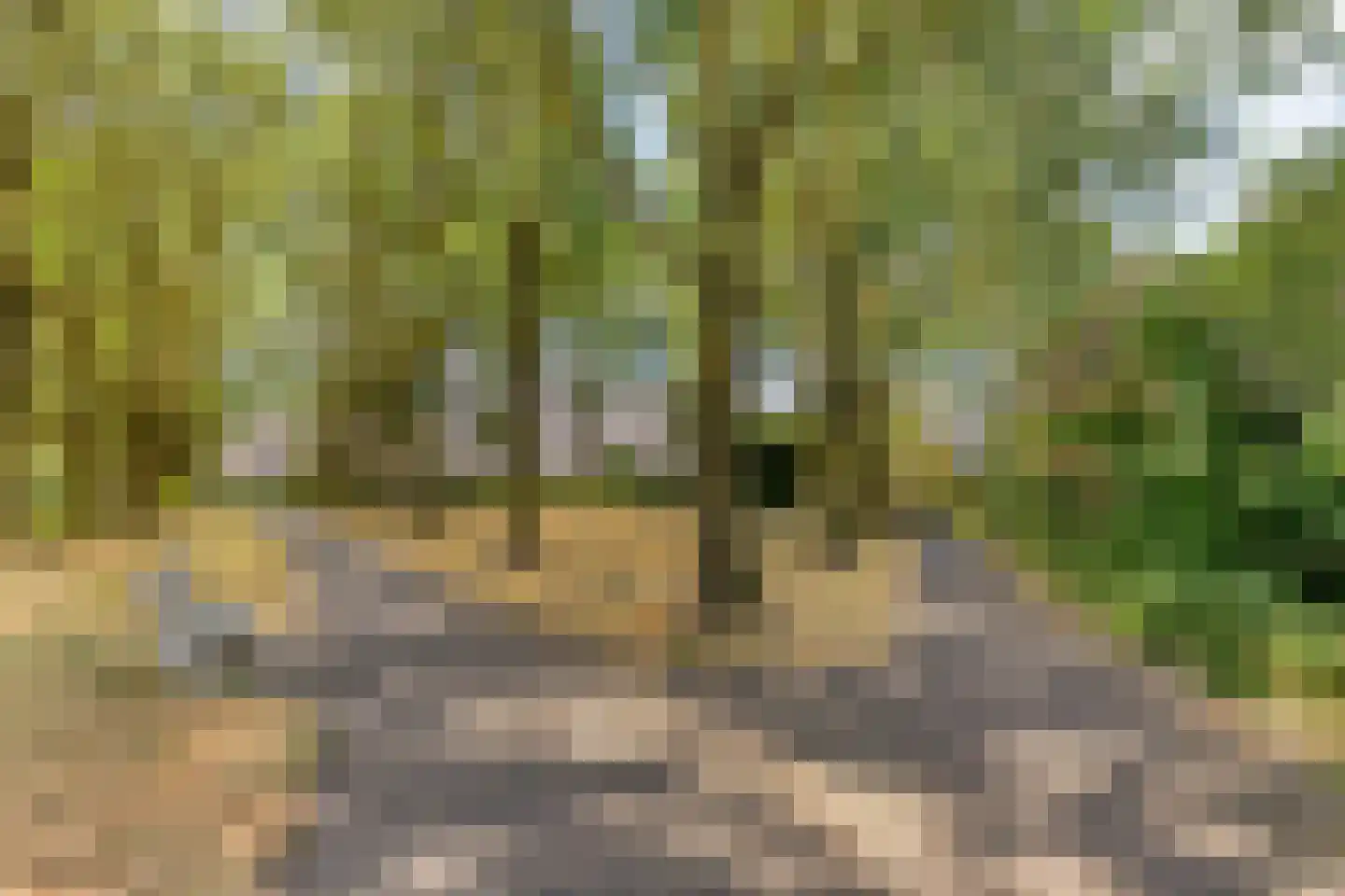 Braspenningstraat 91 Alkmaar thumbnail 39