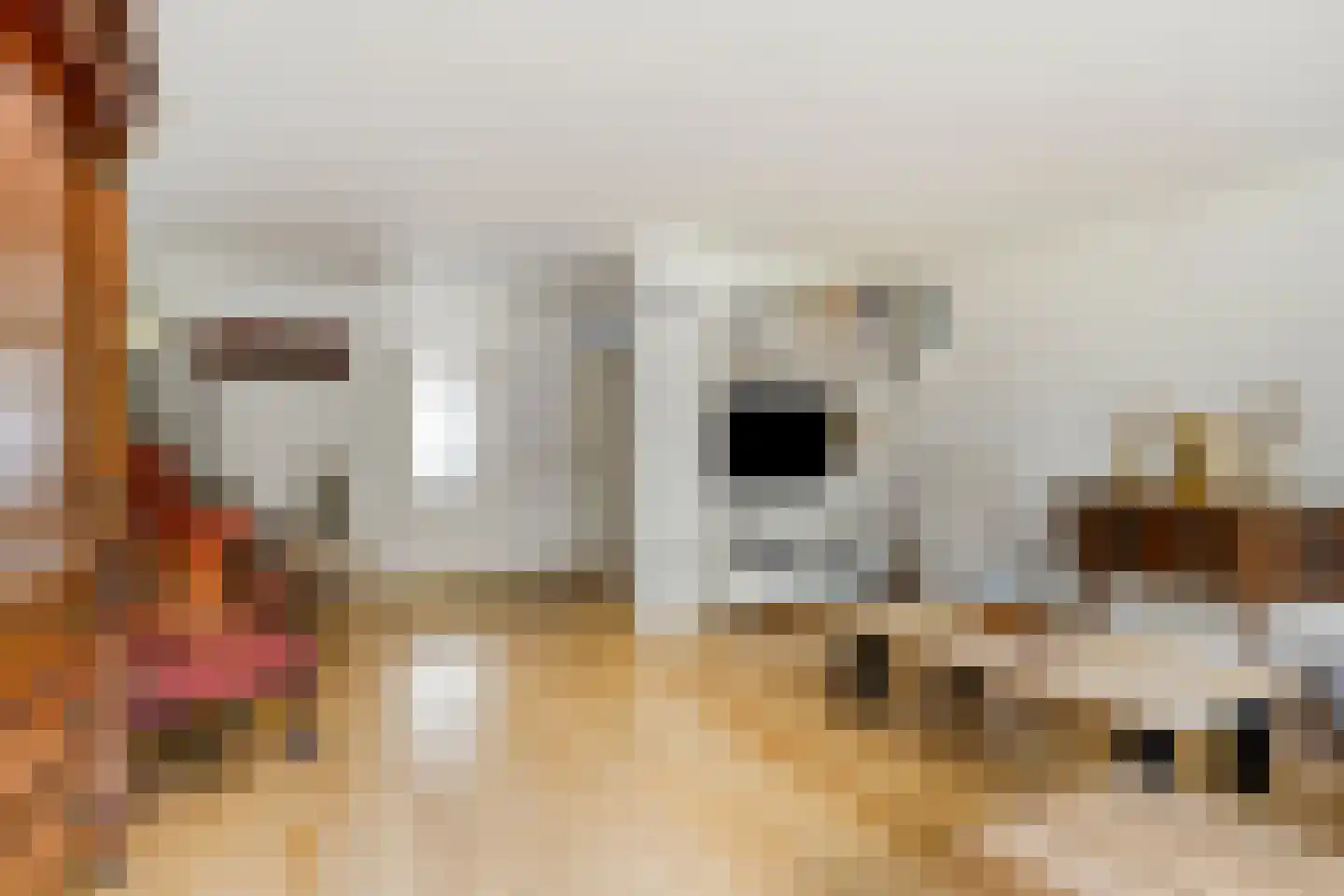 Braspenningstraat 91 Alkmaar thumbnail 4