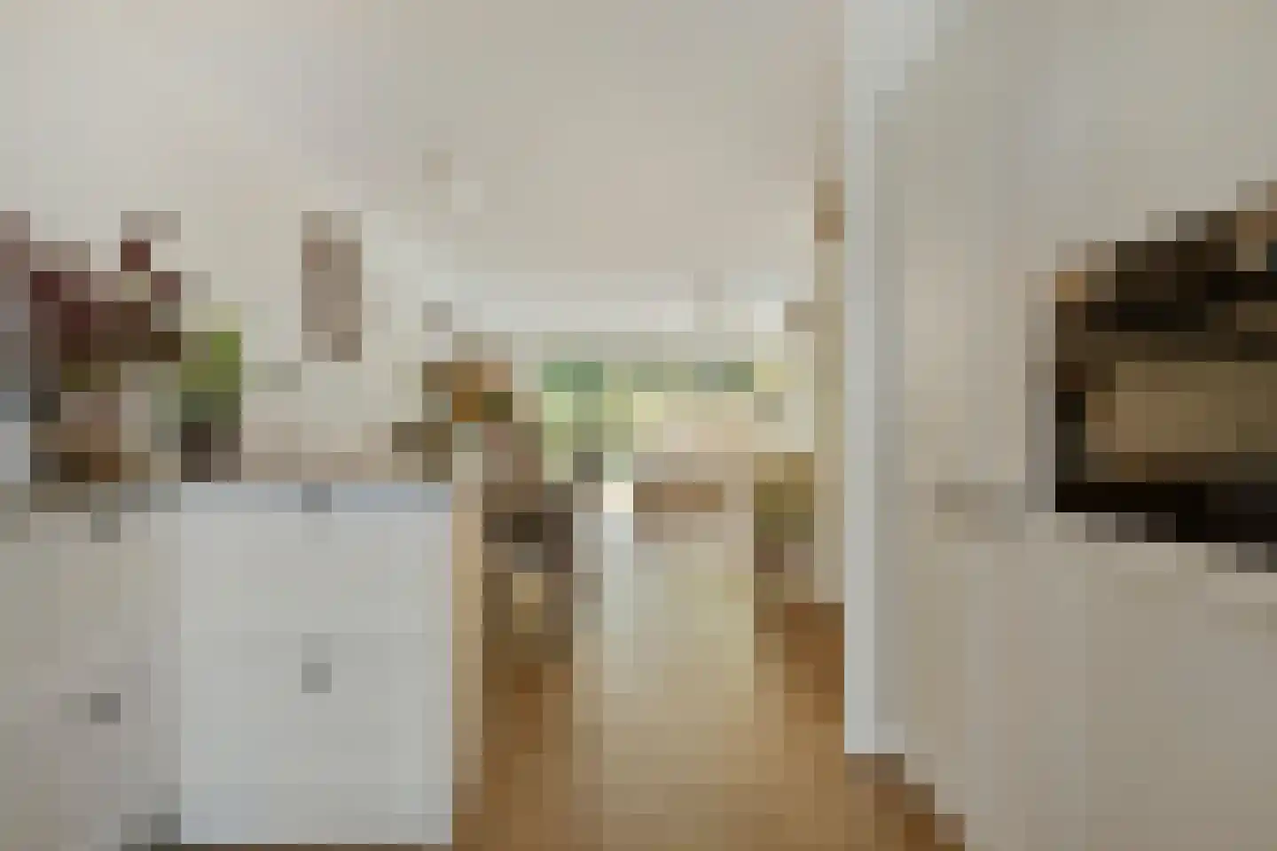 Braspenningstraat 99 Alkmaar thumbnail 10