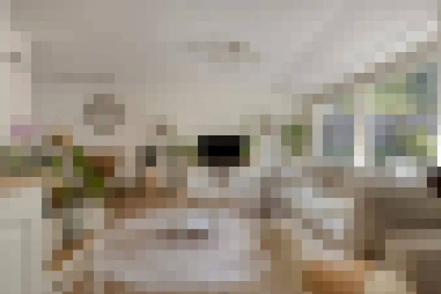 Braspenningstraat 99 Alkmaar thumbnail 9