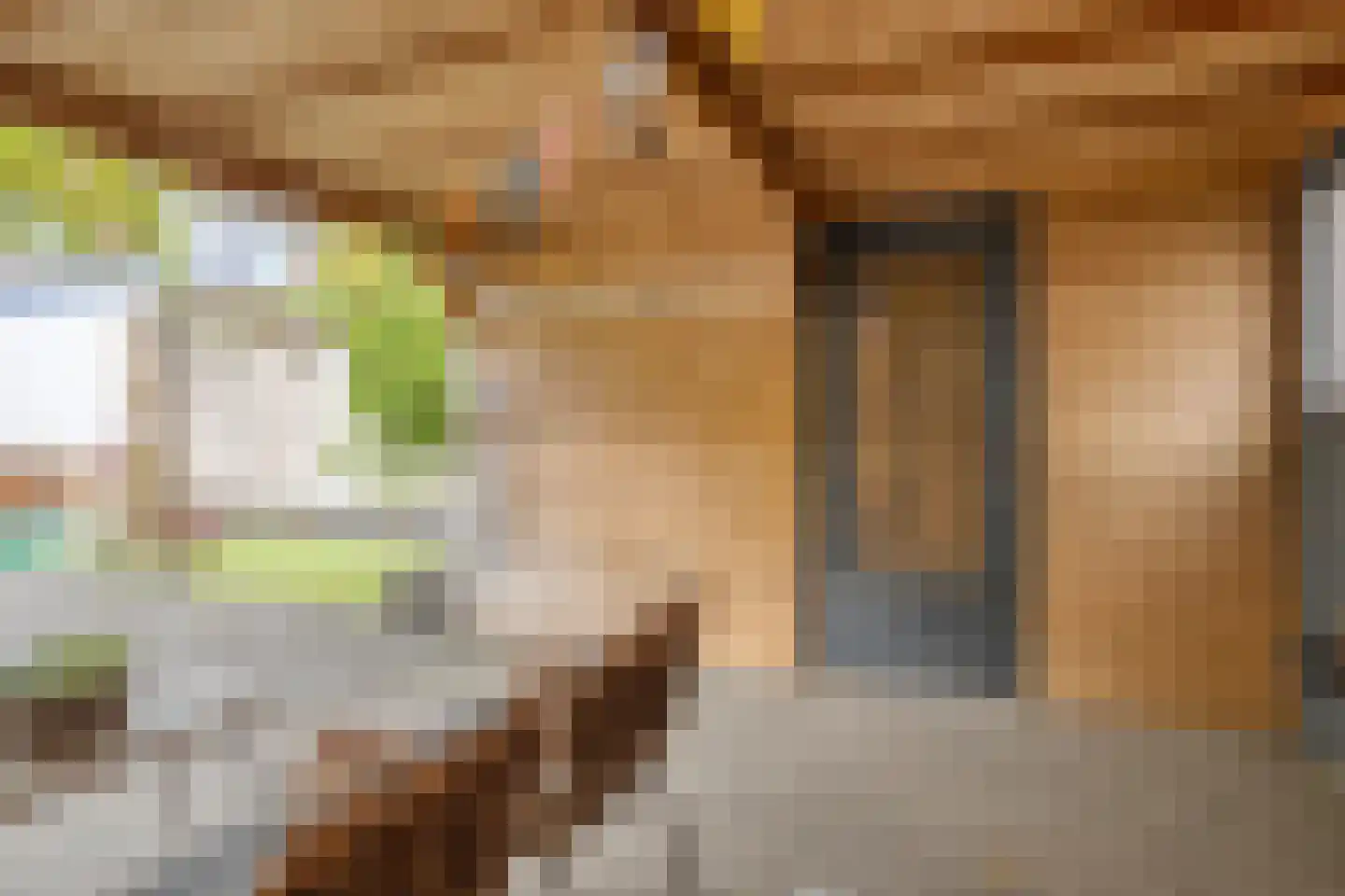 Brasschaatstraat 33 Breda thumbnail 21