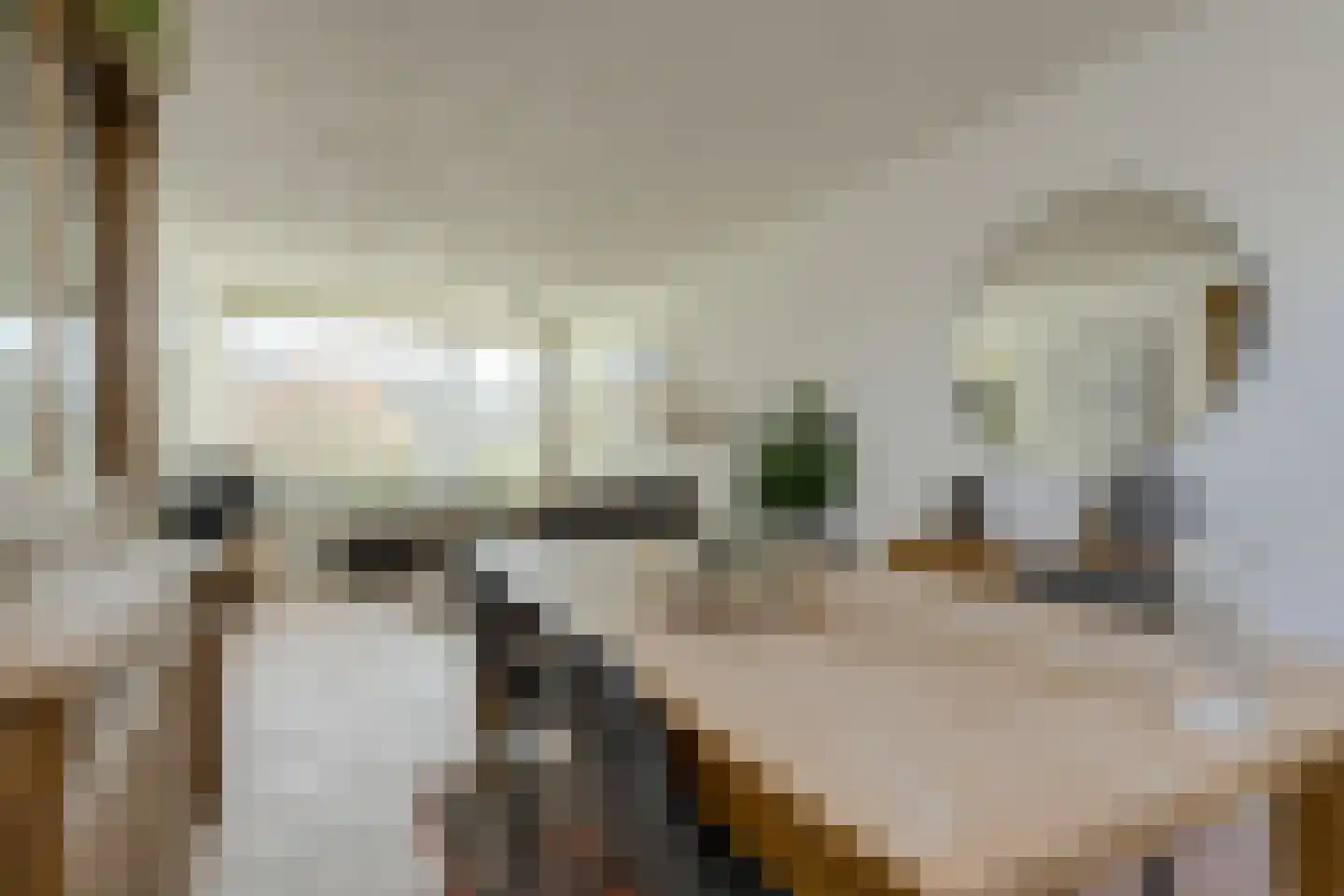 Brasschaatstraat 41 Breda thumbnail 10