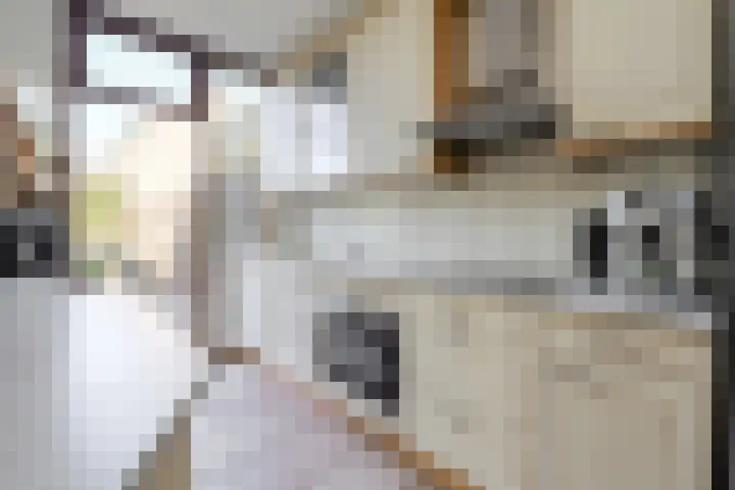 Brasschaatstraat 41 Breda thumbnail 13