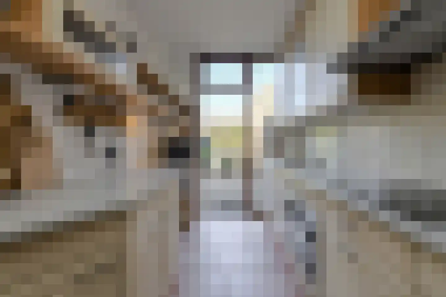 Brasschaatstraat 41 Breda thumbnail 14