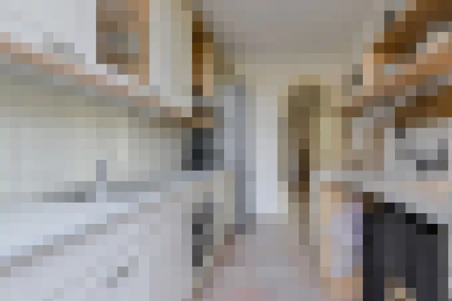 Brasschaatstraat 41 Breda thumbnail 15