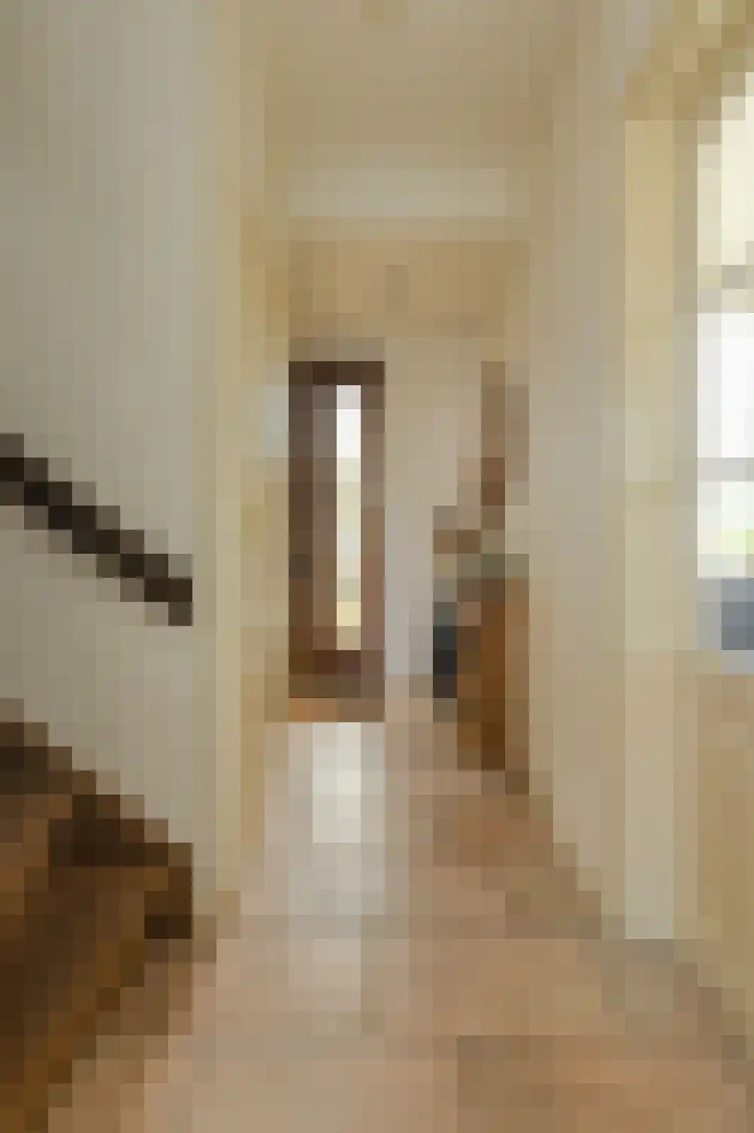 Brasschaatstraat 41 Breda thumbnail 18