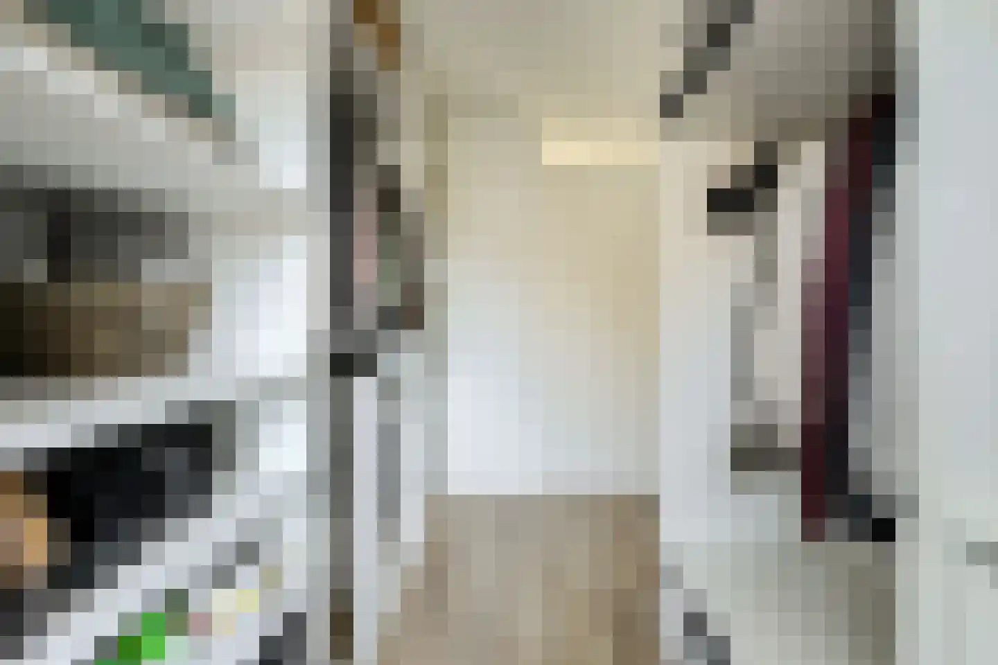 Brasschaatstraat 41 Breda thumbnail 30