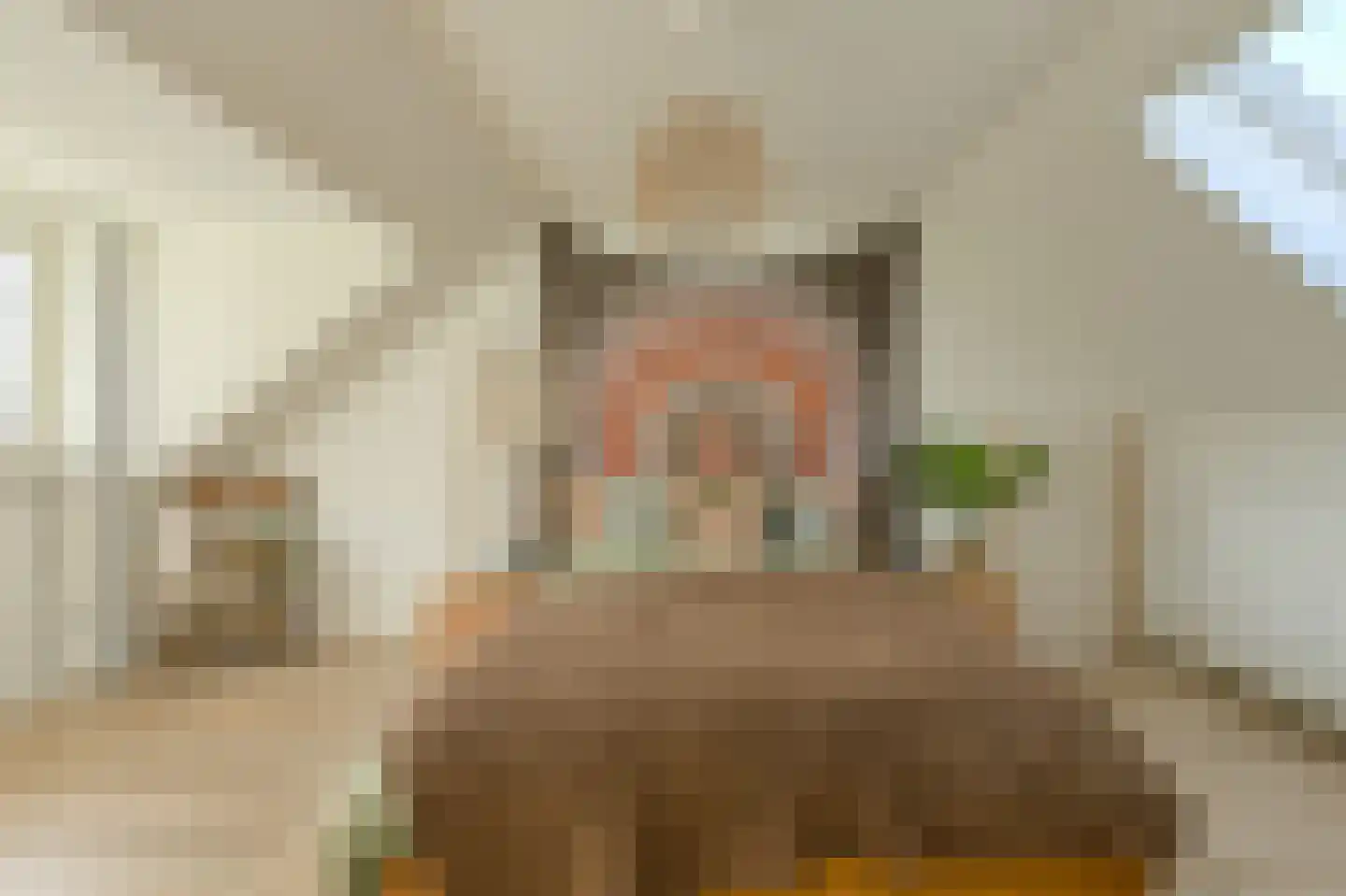 Brasschaatstraat 41 Breda thumbnail 32