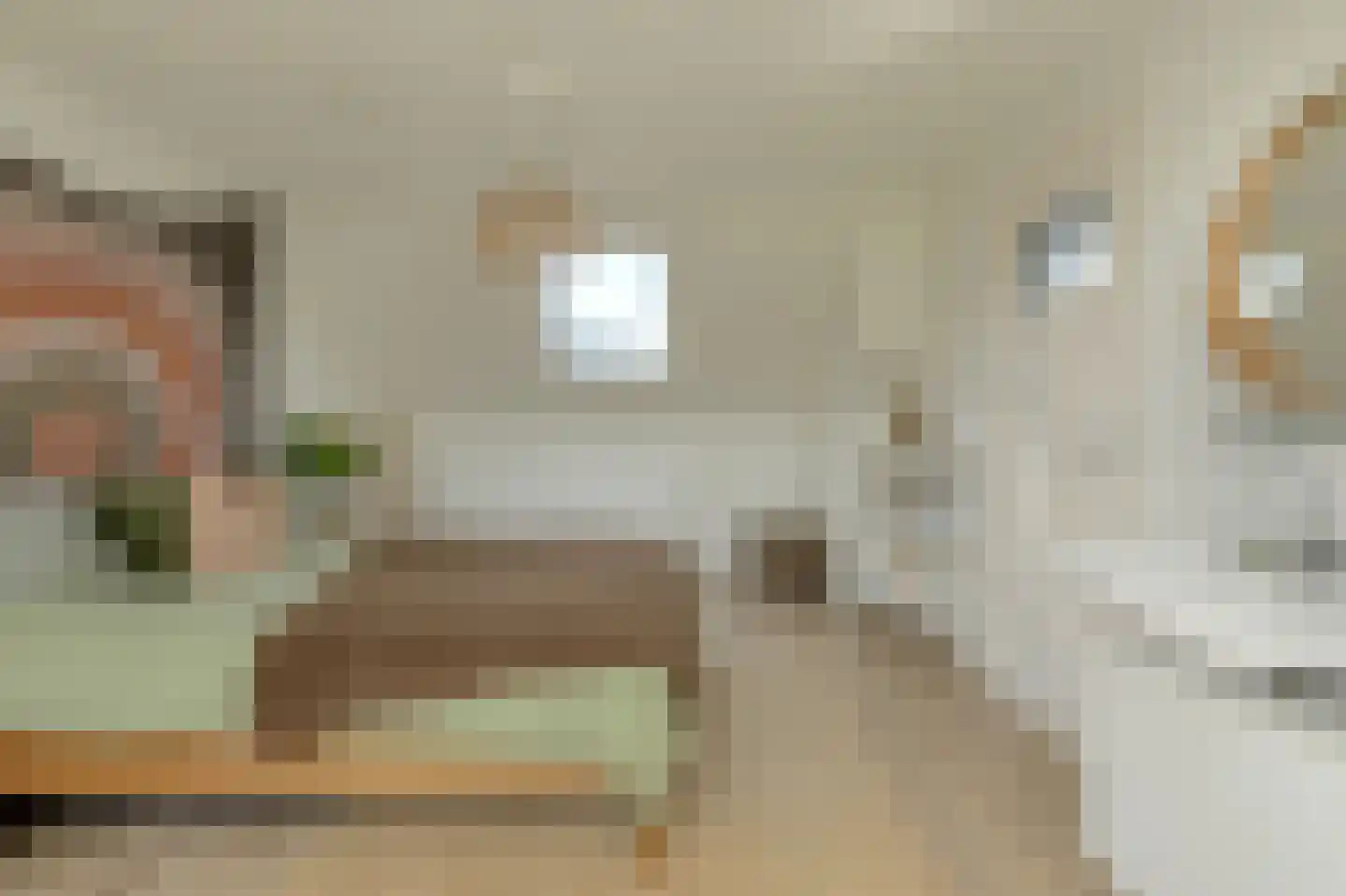 Brasschaatstraat 41 Breda thumbnail 34