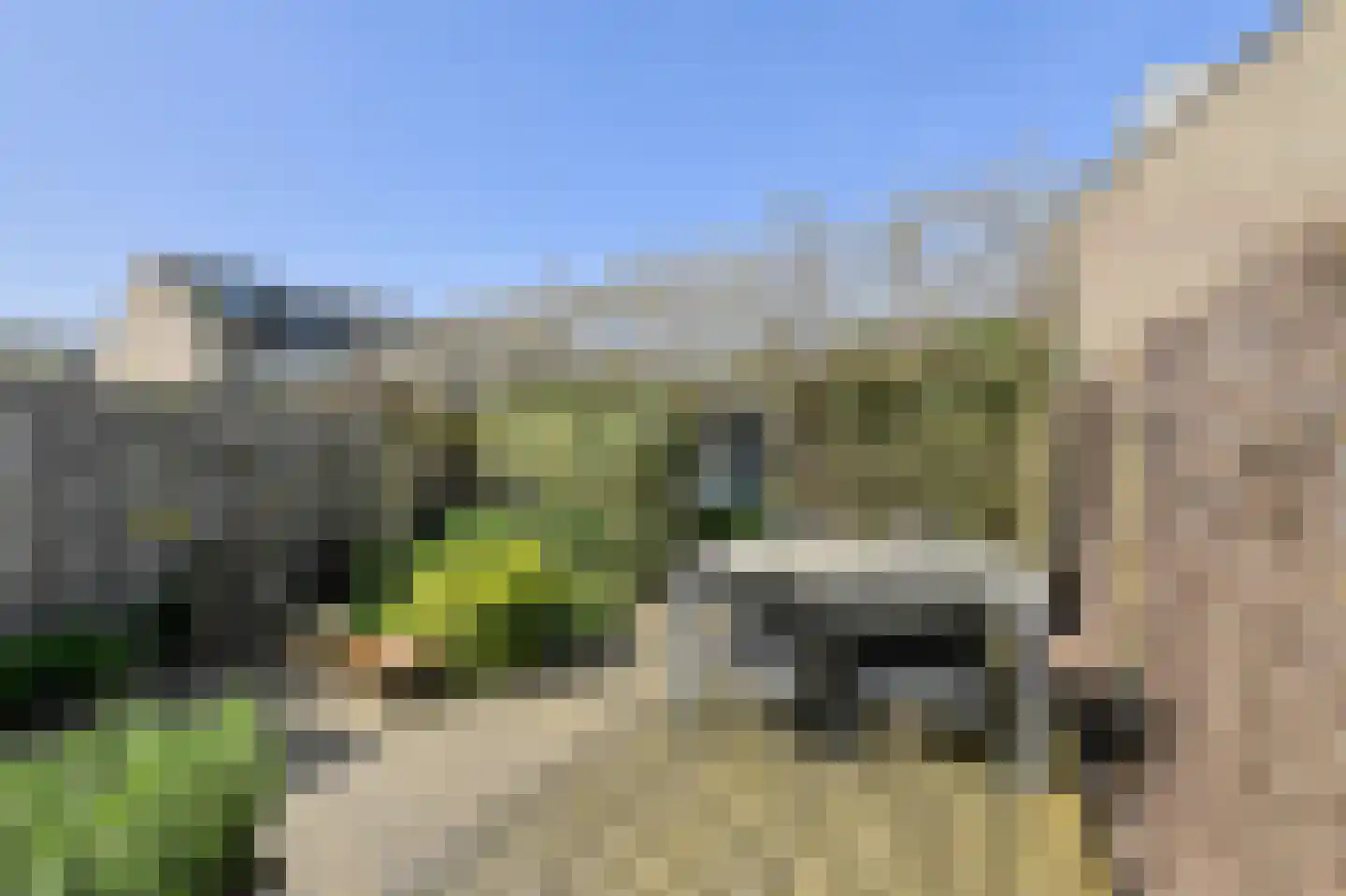 Brasschaatstraat 41 Breda thumbnail 38