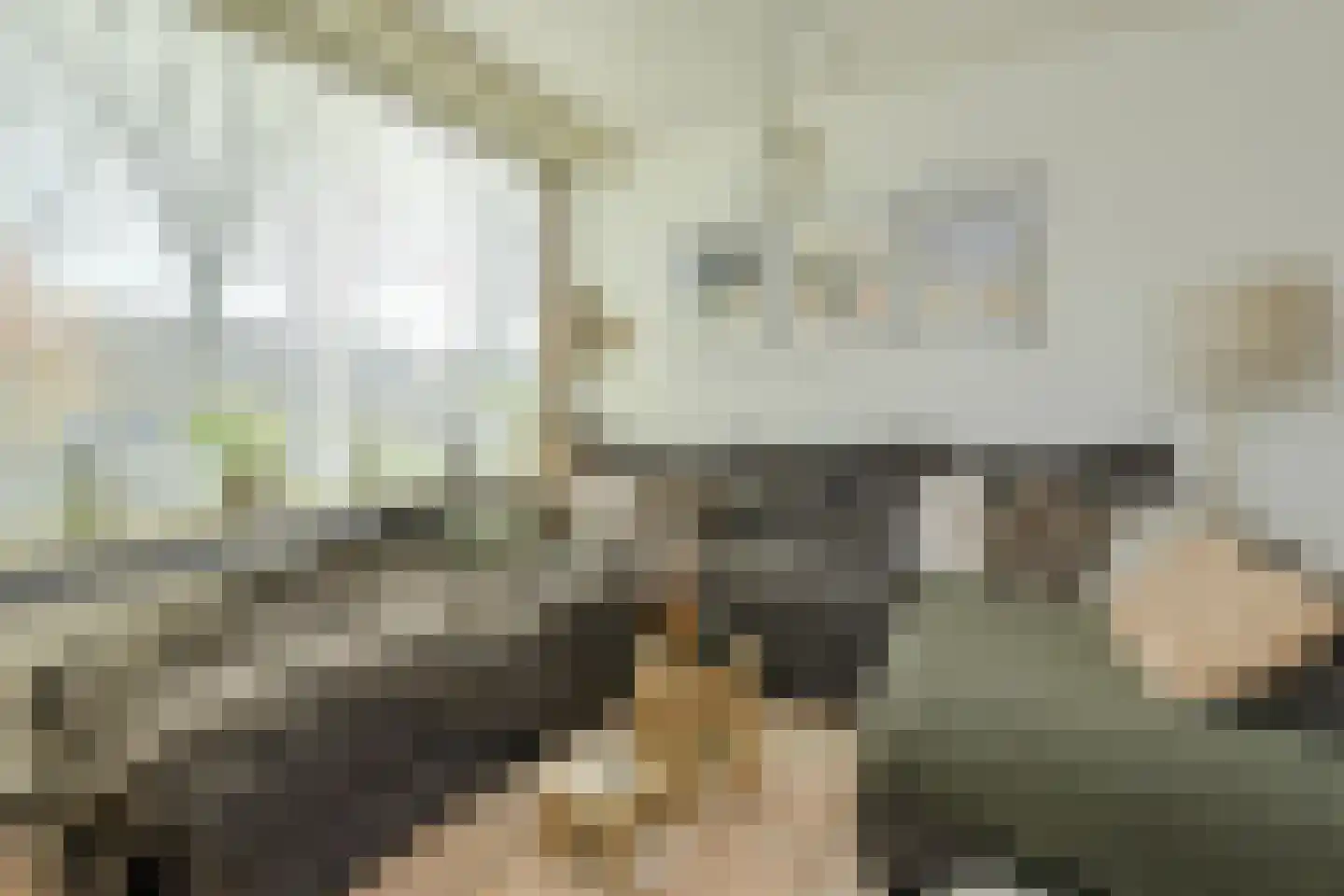 Brasschaatstraat 41 Breda thumbnail 4