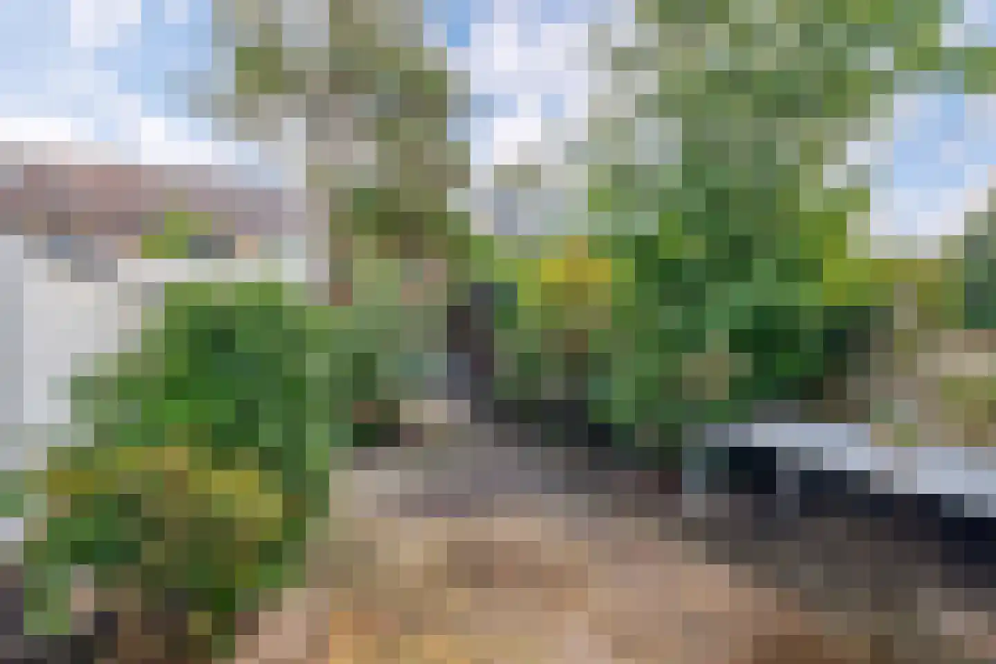 Brasschaatstraat 44 Breda thumbnail 38