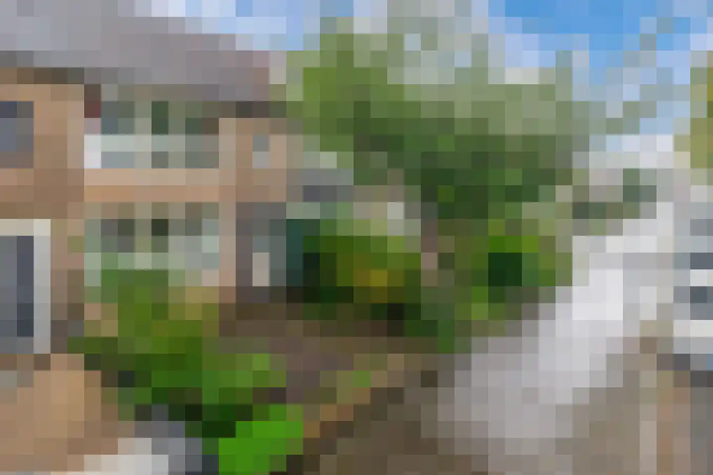 Brasschaatstraat 44 Breda thumbnail 8