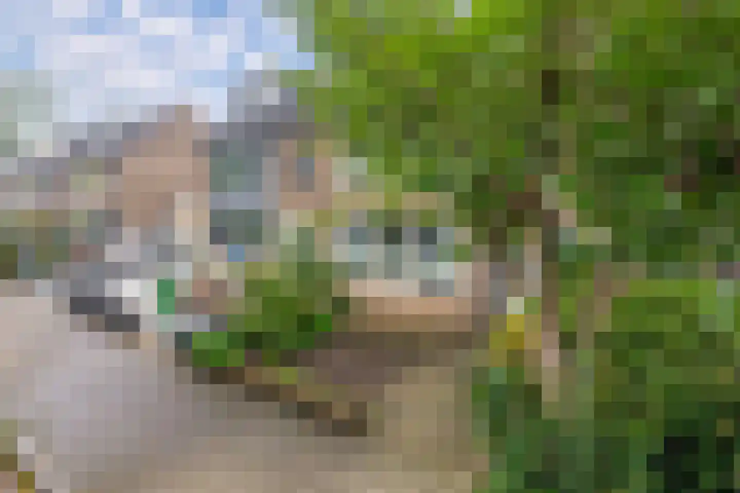 Brasschaatstraat 44 Breda thumbnail 9