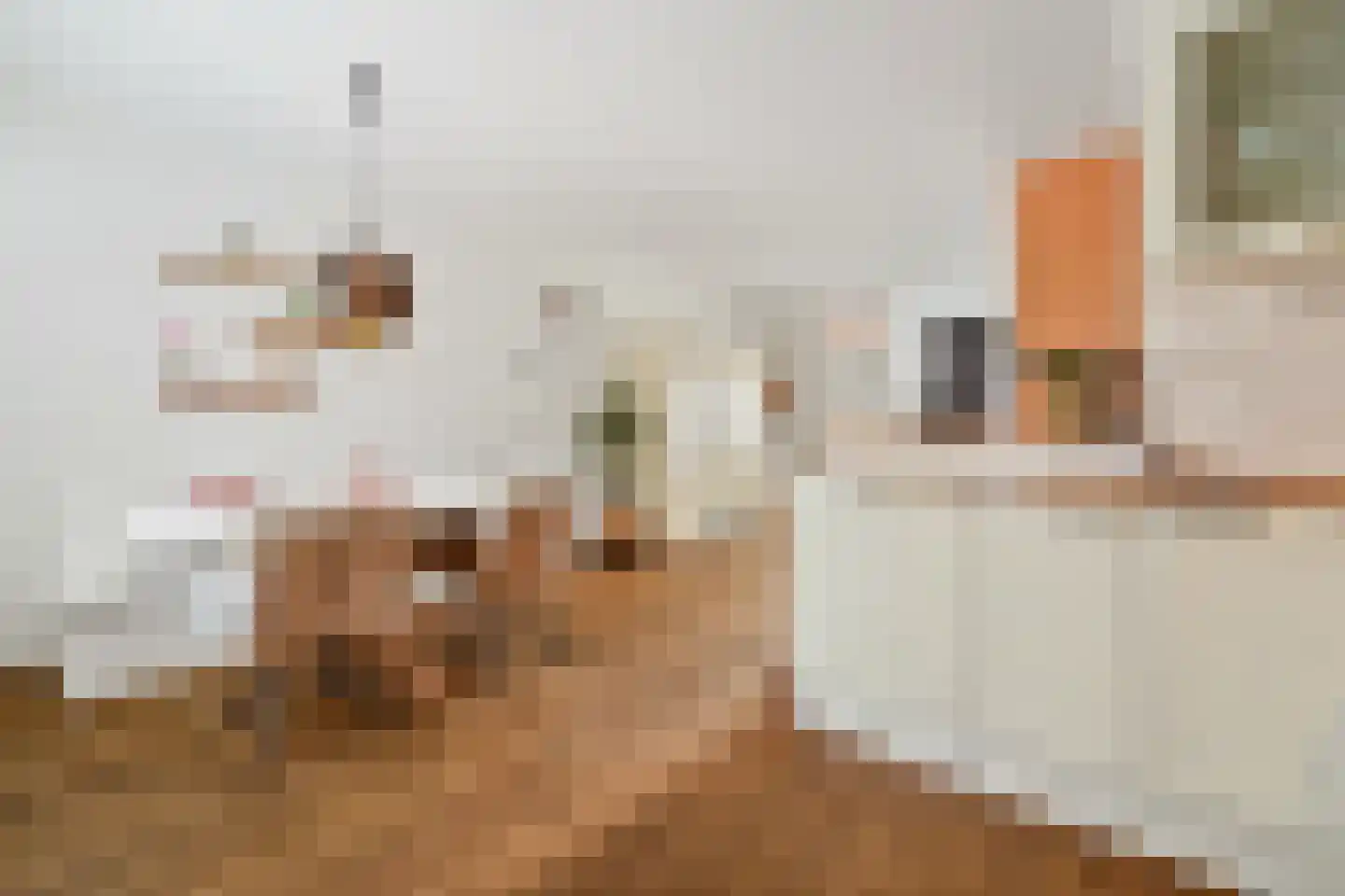 Brasserskade 141 Delft thumbnail 10