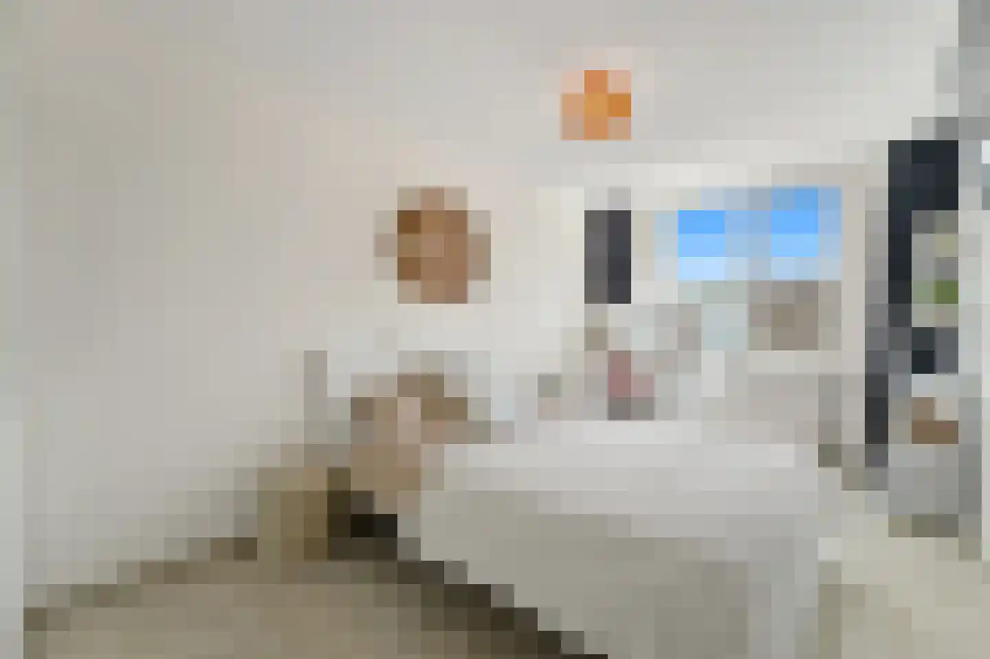 Brasserskade 141 Delft thumbnail 19