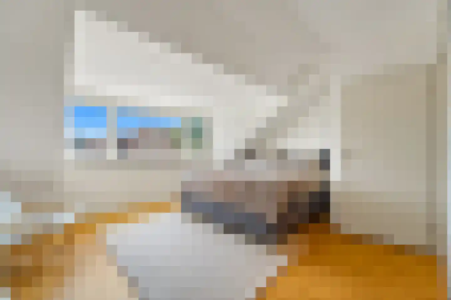 Brasserskade 141 Delft thumbnail 30