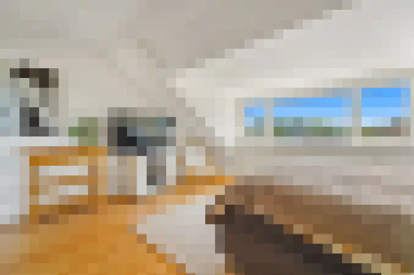Brasserskade 141 Delft thumbnail 32