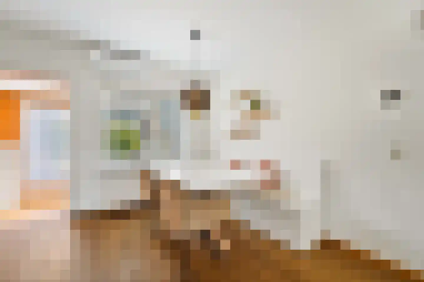 Brasserskade 141 Delft thumbnail 8