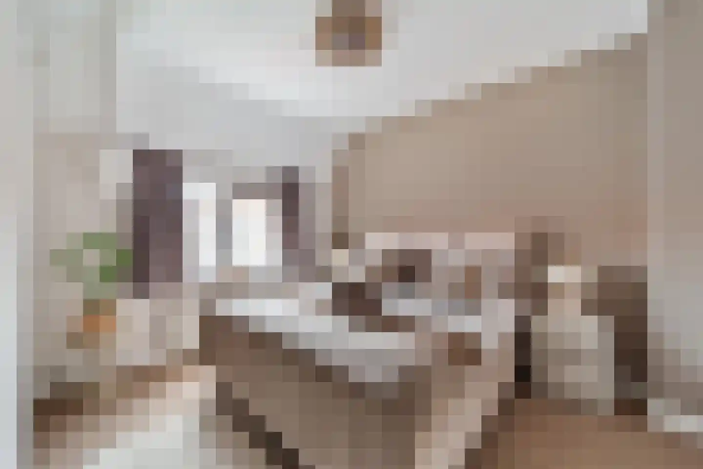 Brasserskade 150 Delft thumbnail 19