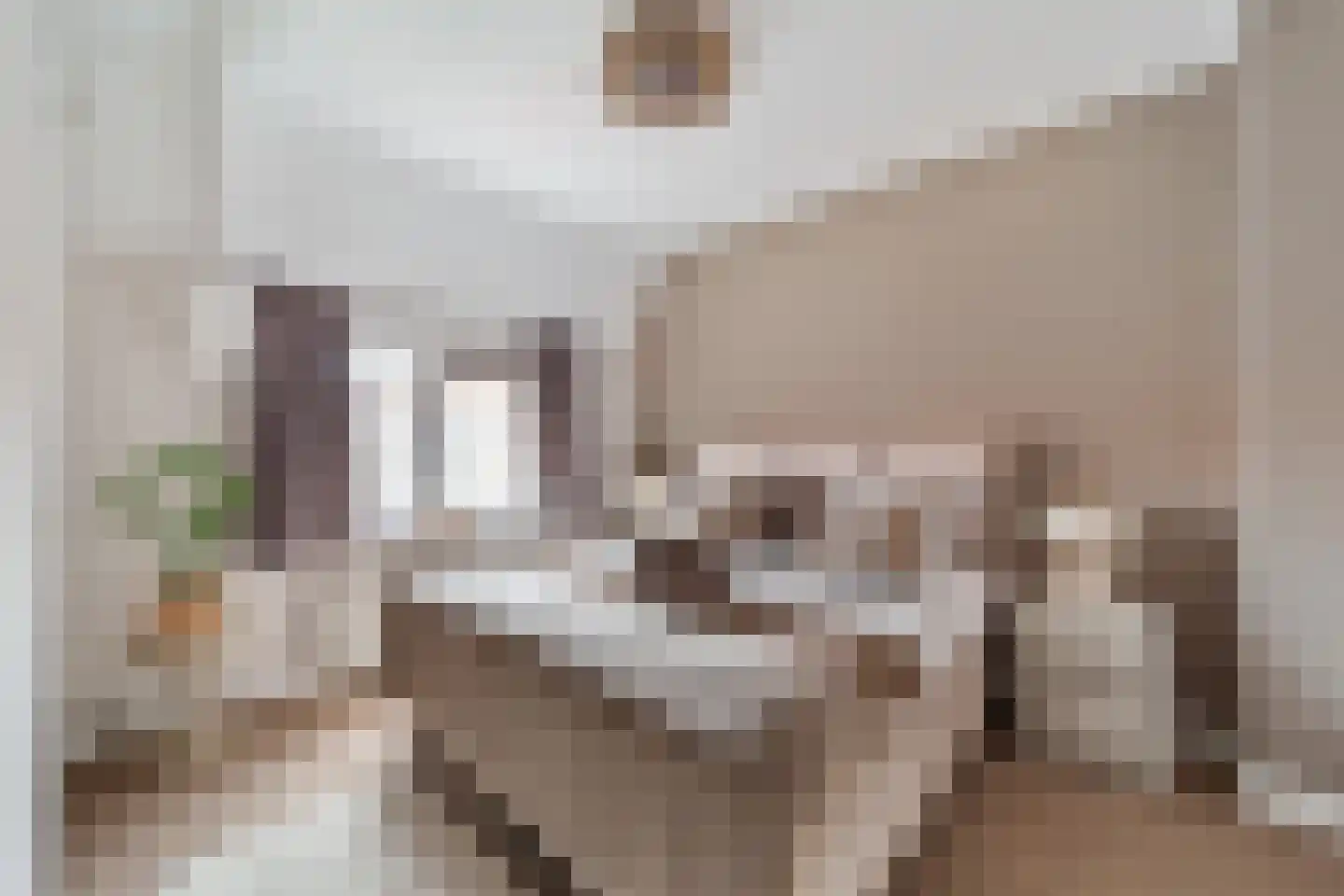 Brasserskade 150 Delft thumbnail 19