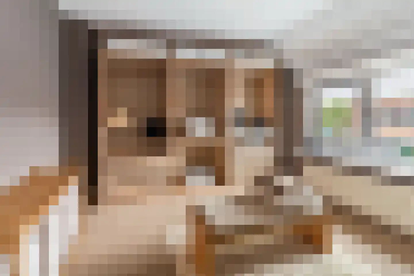 Brasserskade 150 Delft thumbnail 22