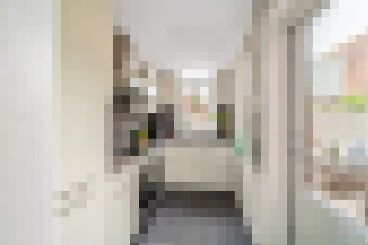 Brasserskade 150 Delft thumbnail 4