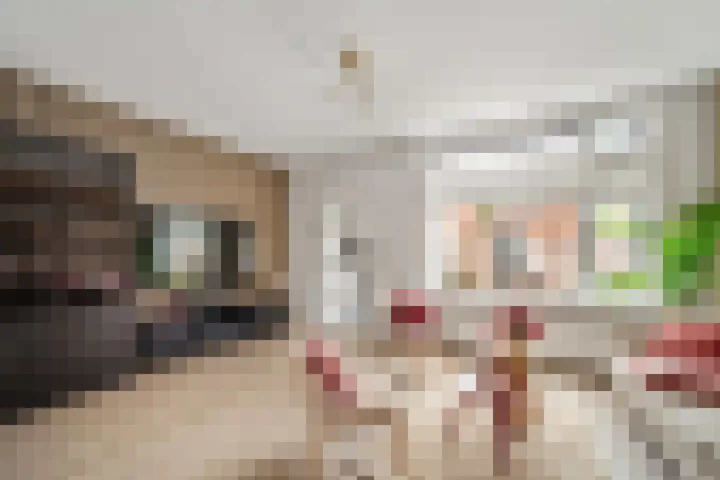 Brasserskade 150 Delft thumbnail 8