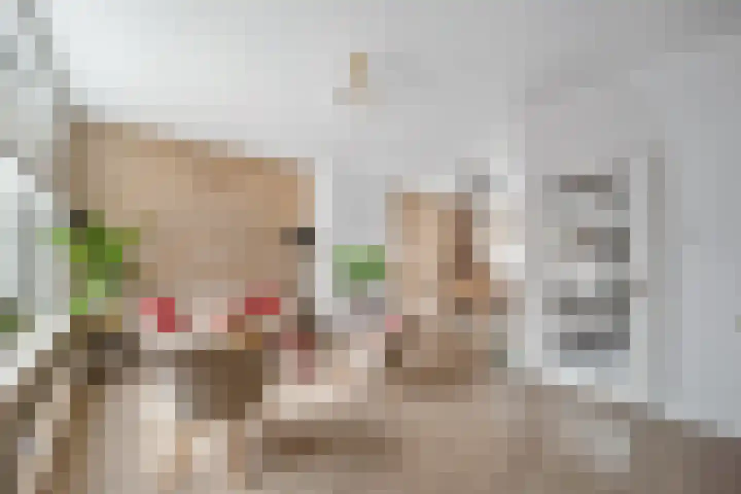 Brasserskade 150 Delft thumbnail 9