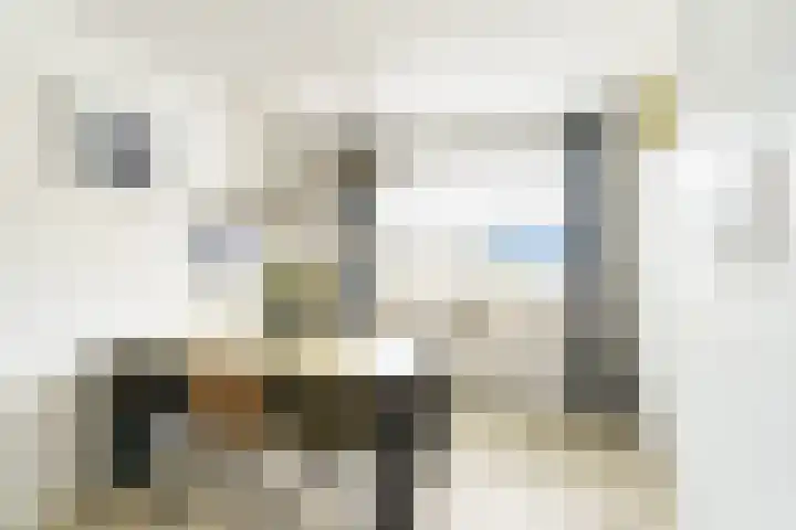 Brasserskade 179 Delft thumbnail 10