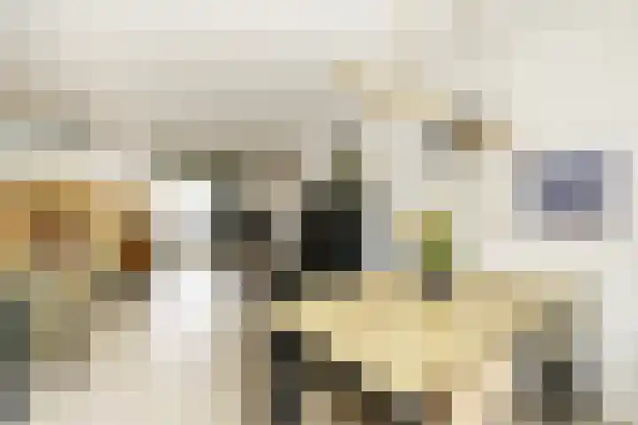 Brasserskade 179 Delft thumbnail 11